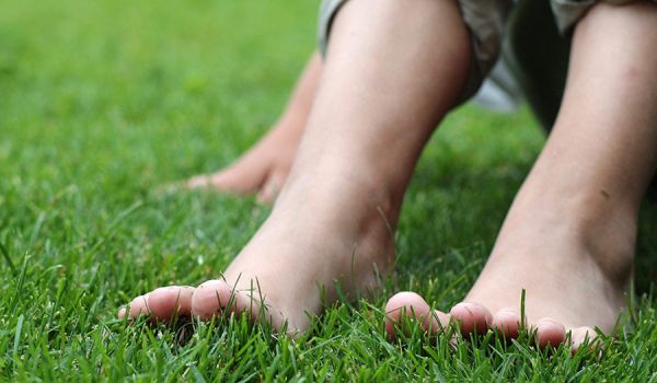 Expertens fyra tips – skapa enkelt en grön gräsmatta